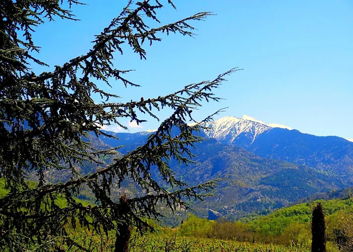Sejour A 20 Minutes De L'espagne Avec Petit-dejeuner A La Demande A Les Lumineuses Du Palais Des Rois De Majorque Perpignan